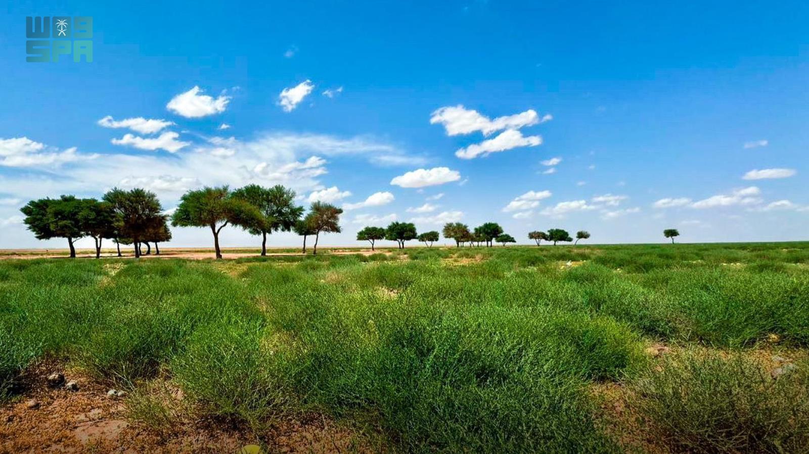 Imam Turki Bin Abdullah Royal Reserve Marks International Day of Plant Health